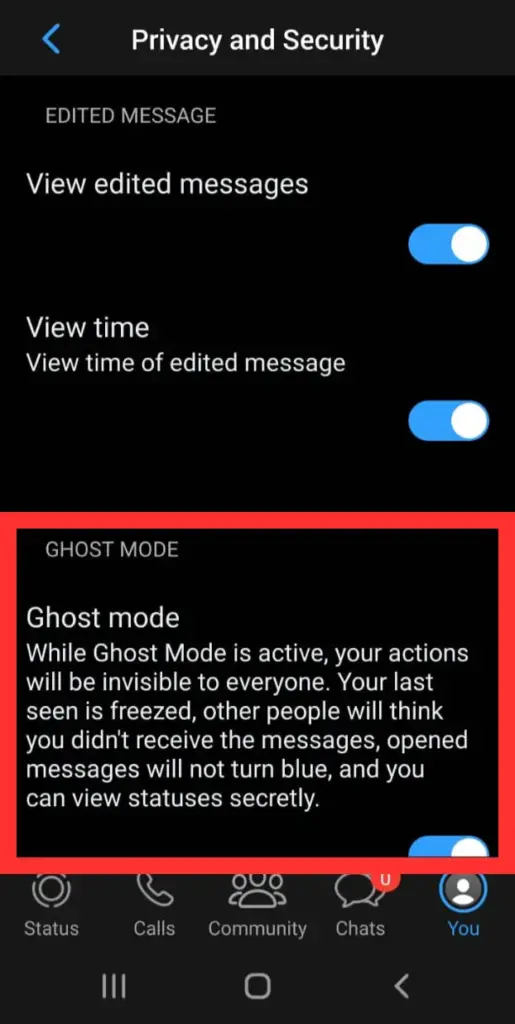 MB Whatsapp Ghost Mode