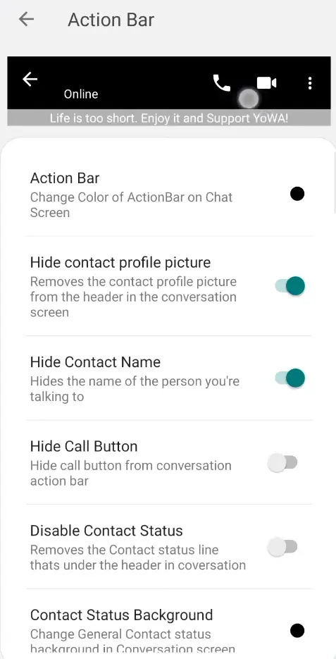 Blue WhatsApp Action bar Settings