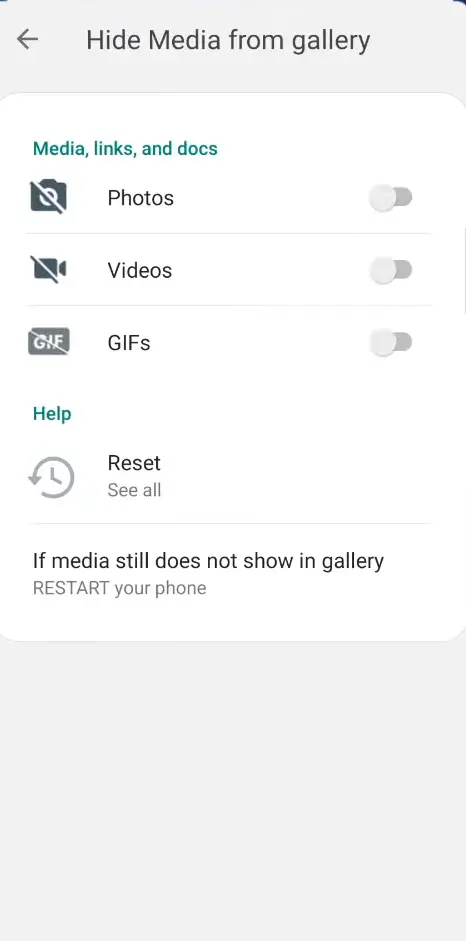 Blue WhatsApp Media Settings