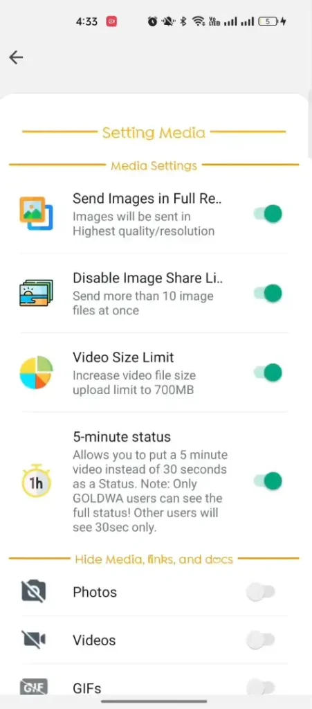 Gold WhatsApp Media Settings